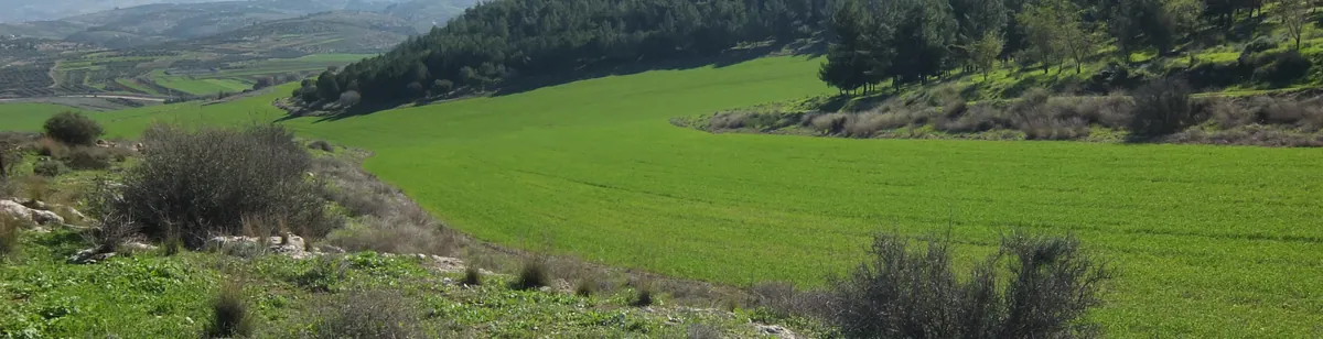 Adullam — landscape / site view
