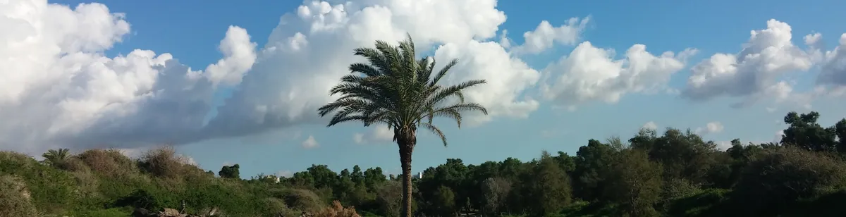 Ashkelon — landscape / site view