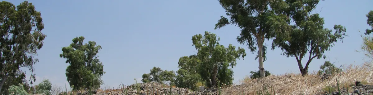 Bethsaida — archaeological / architectural site