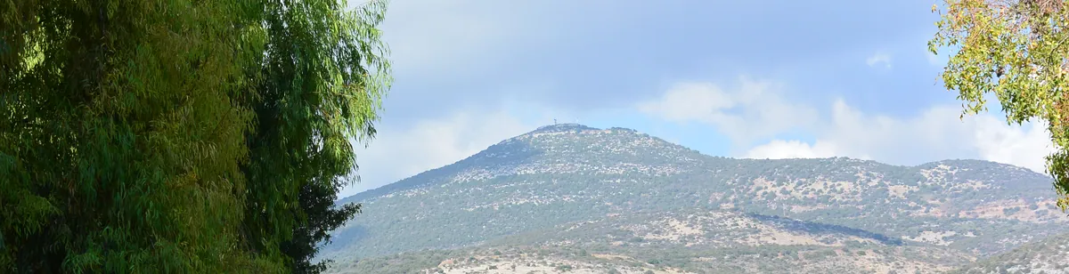 Dan — archaeological / architectural site