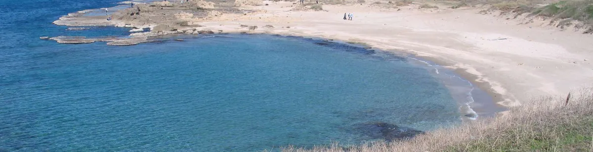 Dor — archaeological / architectural site