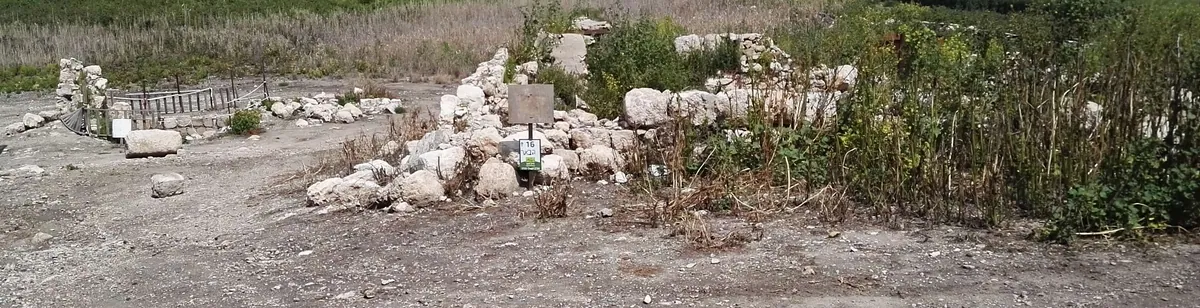 Ekron — archaeological / architectural site