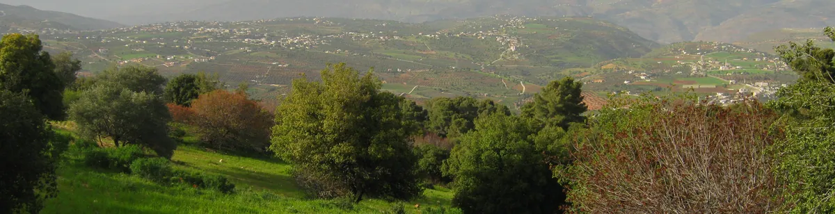Midian — landscape / site view