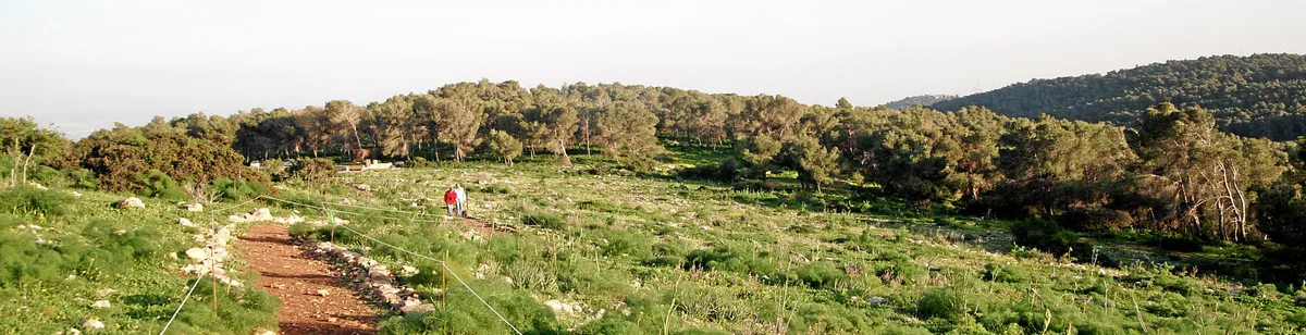 Mount Gilboa — landscape / site view