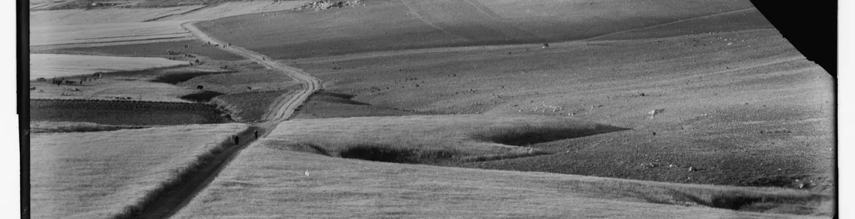Plain of Sharon — archaeological / architectural site