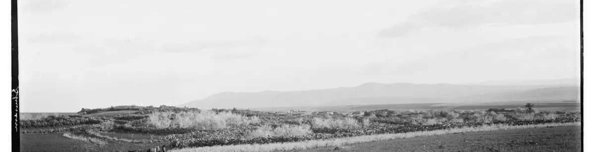 Shunem — landscape / site view