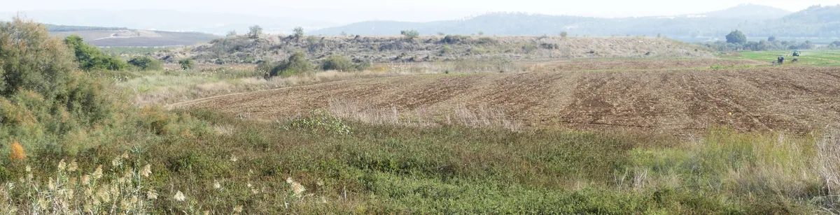 Timnah — archaeological / architectural site
