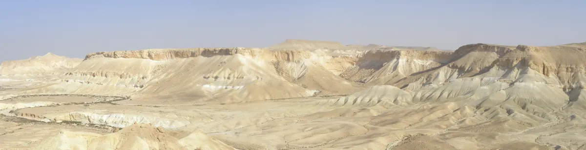 Wilderness of Zin — landscape / site view